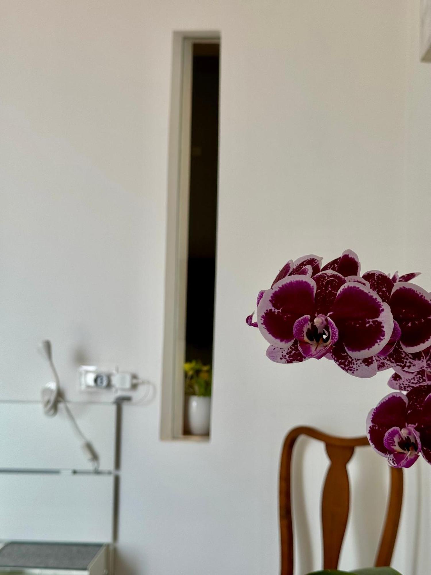 Residenza D'Artista Al Conservatorio Salerno Ngoại thất bức ảnh